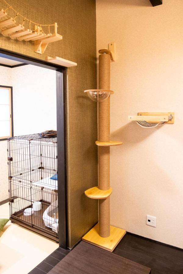 いぬとねこにやさしいお宿　京都 エクステリア 写真