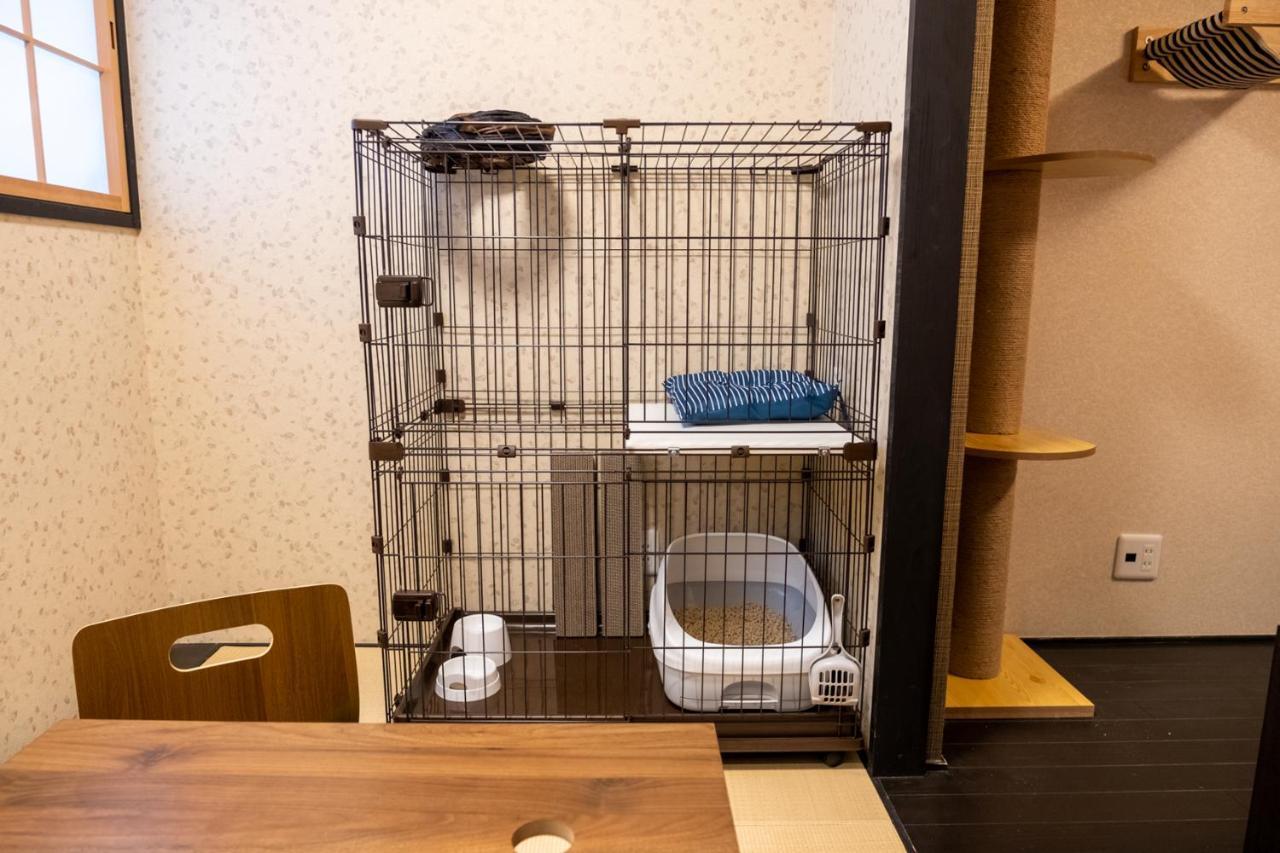 いぬとねこにやさしいお宿　京都 エクステリア 写真